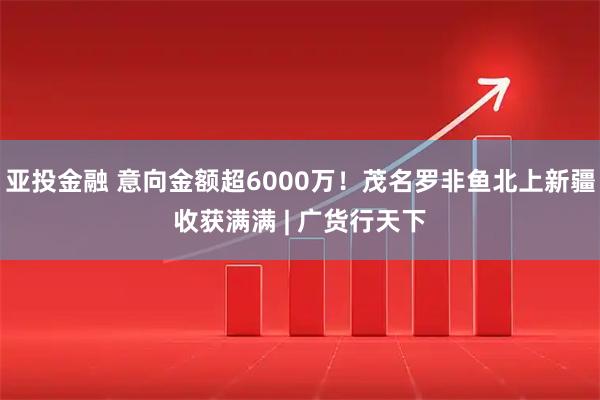 亚投金融 意向金额超6000万！茂名罗非鱼北上新疆收获满满 | 广货行天下